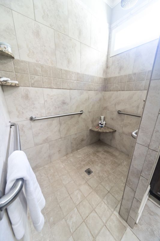 Accessible Walk-In Shower Features